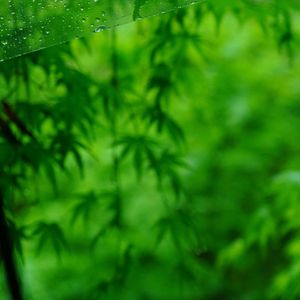 信箱很久没有打开