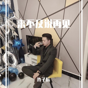 来不及说再见（翻自 艾辰）