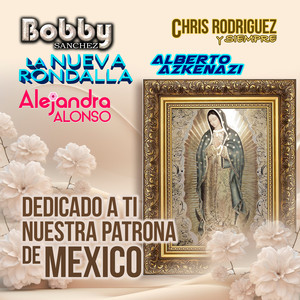 Señora Amor (Texmex)