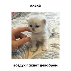 Воздух пахнет декабрём