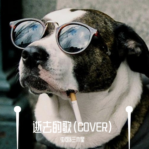 逝去的歌