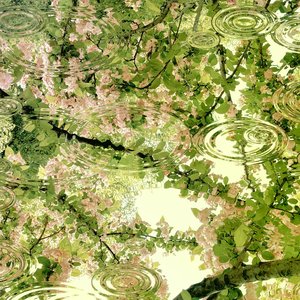 赖在你身边多一天