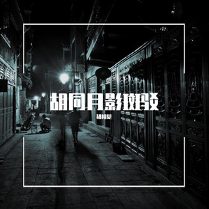 胡同月影斑驳