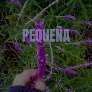 Pequeña