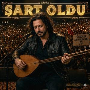Şart Oldu (feat.Siyah)