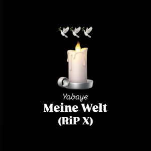 Meine Welt (RiP X)