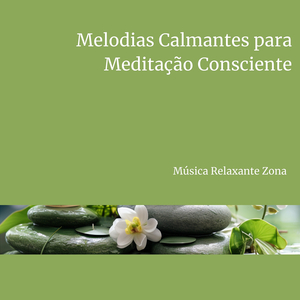 Estimulação Cerebral