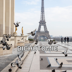 Dichotomie