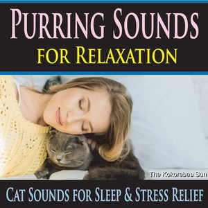 Cat Purring for Deep Healing