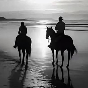 许你一场相见如故 眉目成书