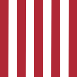 The Rational Optimist