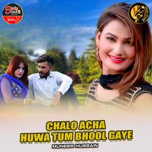 Chalo Acha Huwa Tum Bhool Gaye (1)