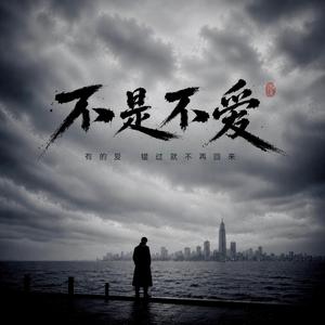 不是不爱