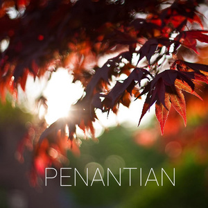 Penantian