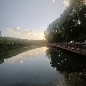 在那个夏天失去了梦想的少年