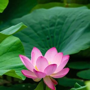 暮晖倾落的房间