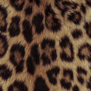 Leopard skin