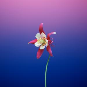 Sometimes Things Happen...