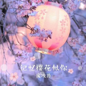 记忆樱花似你