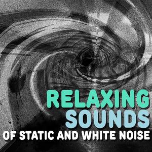 White Noise: Micro