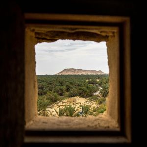 熵减的温柔褶皱