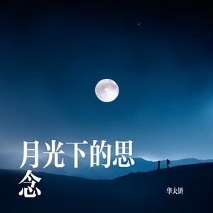月光下的思念与心碎