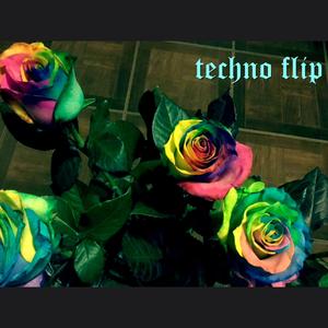 techno flip