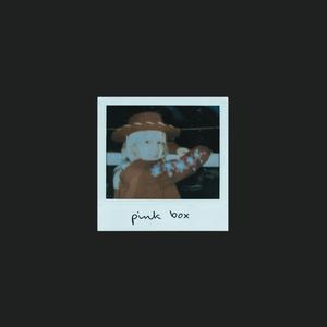 Pink Box (Acoustic)