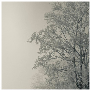 Microfractures