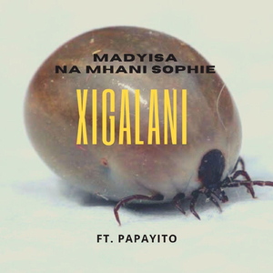 Xigalani (feat. Papayito)