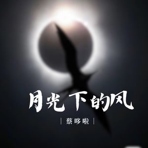 月光下的风