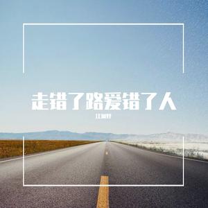 走错了路爱错了人