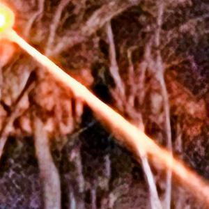 |The Sun Also Rises|