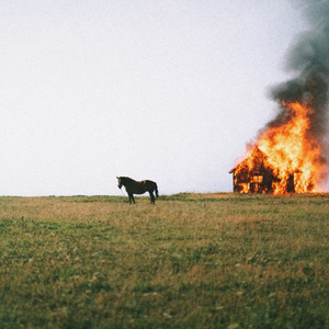 The Everloving Pit of Despair