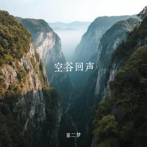 空谷回声