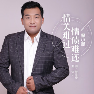 情关难过 情债难还 (DJ名龙版)