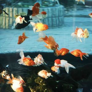 仅此而已-prod by Rising Beat