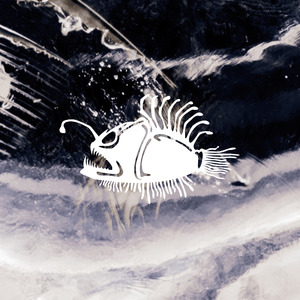 What Do You Wanna Do