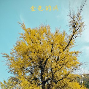 金色的风