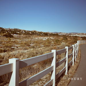 Winter Walk