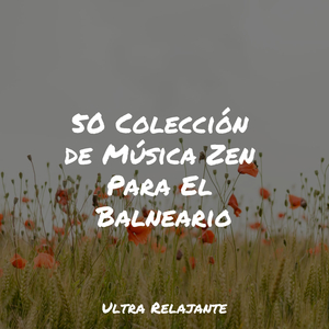 Acurrucarse Y Calmarse