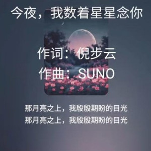 今夜，我数着星星念你