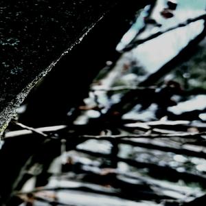 trotventurs1 audience they