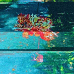 I Shouldn't Have Listened