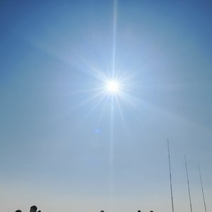 全世界的人都知道