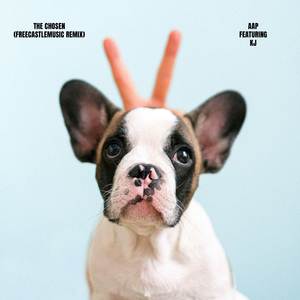 The Chosen (FreeCastleMusic Remix)