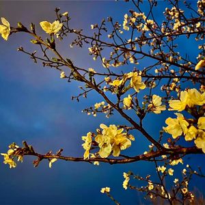 白日梦Demo（Xianyu混音） Fullband.