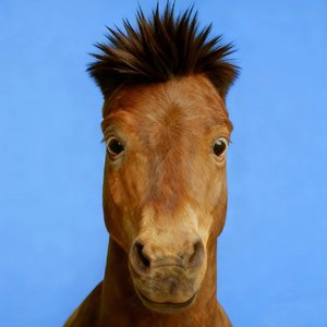 地铁里空荡的心