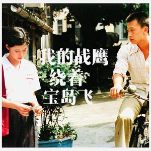 我的战鹰绕着宝岛飞 （汤非）
