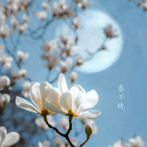 春不晚